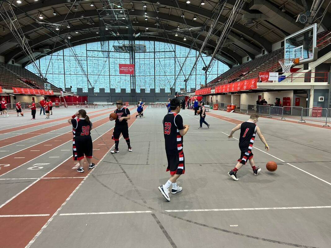 layup-lines_orig